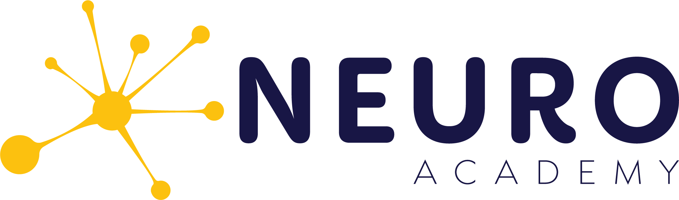 Neuro Academy